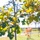 Wright-Patt honors National Public Lands Day with tree planting event