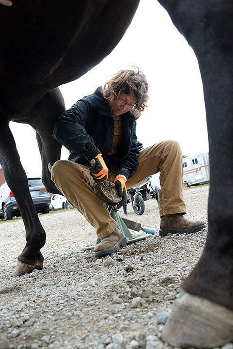 Event at stables connects History with Horses