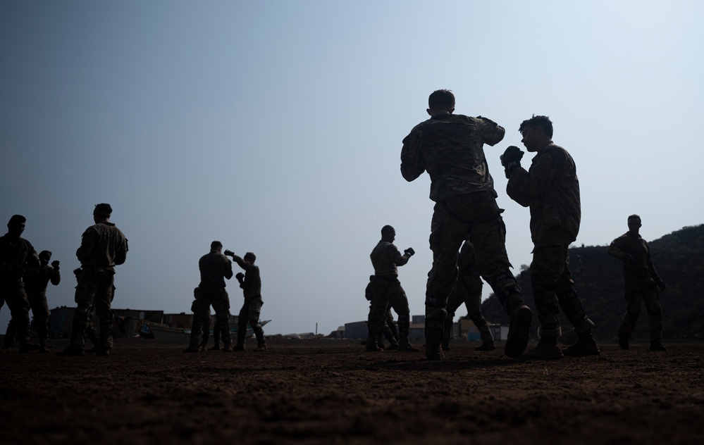 CJTF-HOA participates in French Desert Commando Course