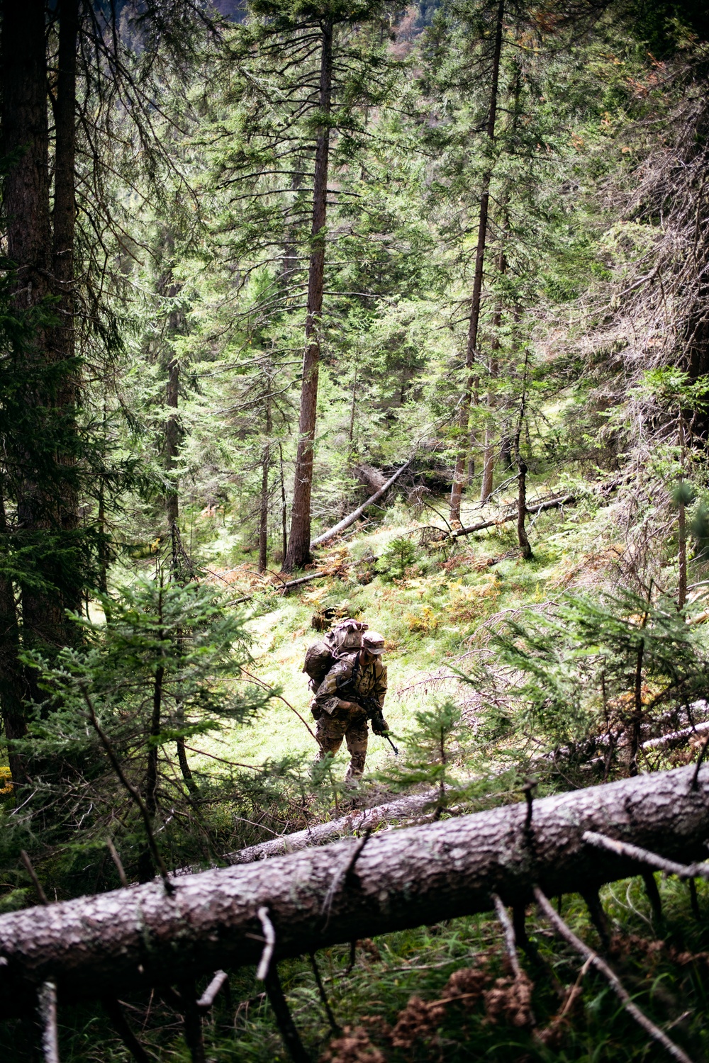 Alpine Star 23 - Summer Resolve Infil