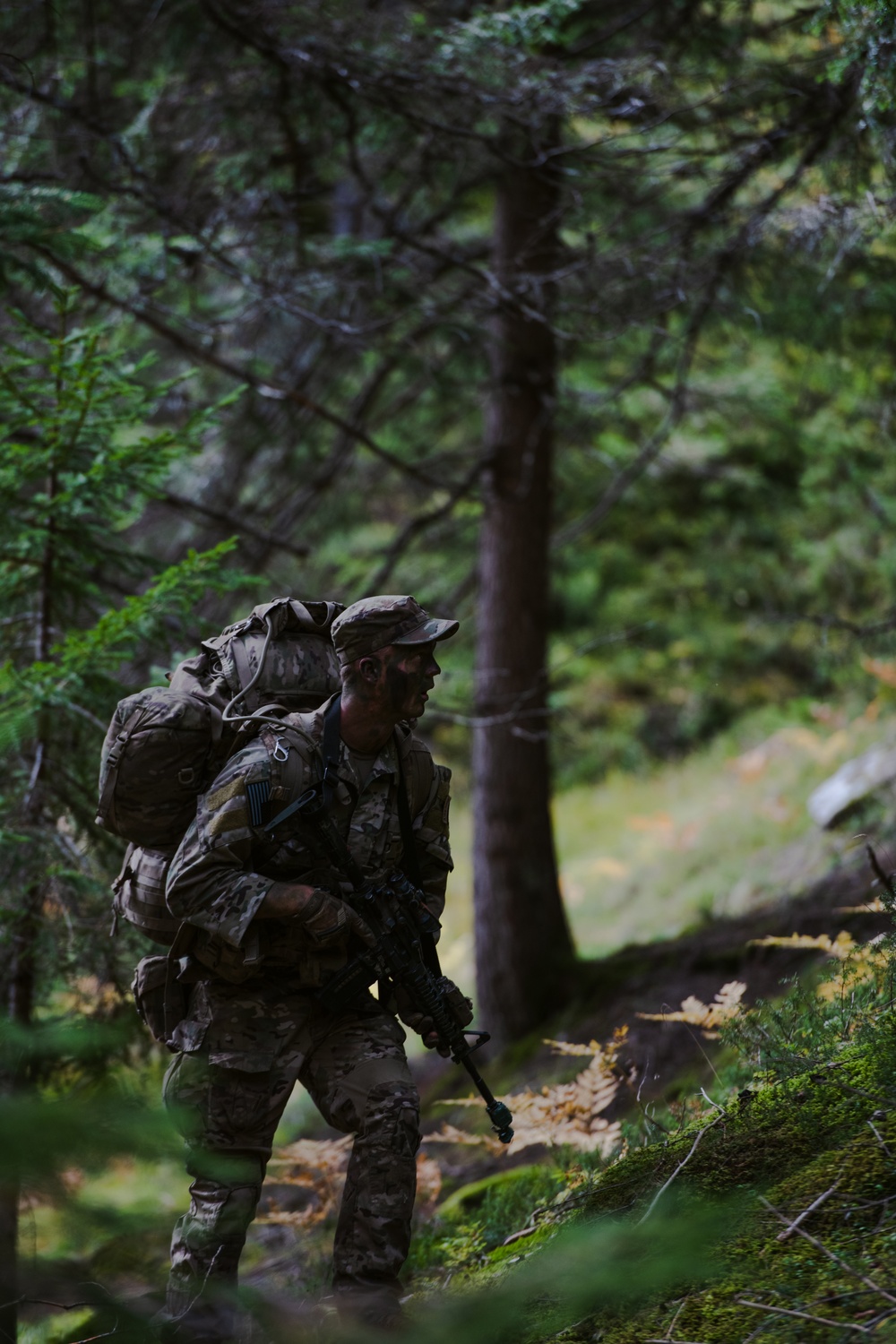 DVIDS - Images - Alpine Star 23 - Summer Resolve Infil [Image 3 of 5]