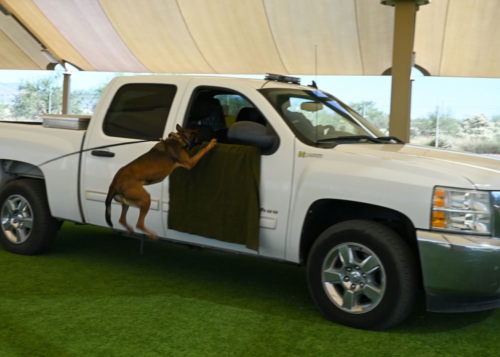 All bite, no bark