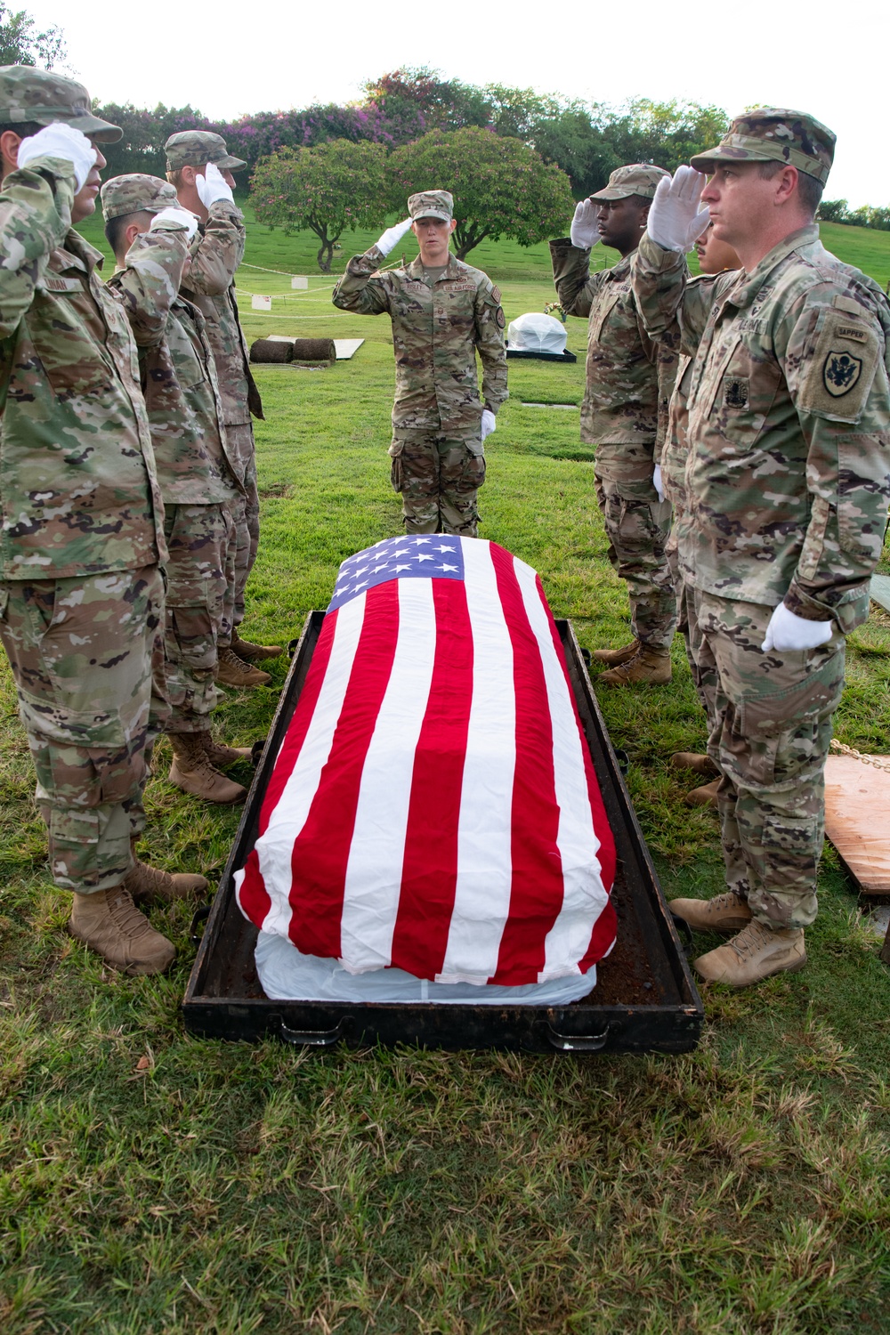 Defense POW/MIA Accounting Agency disinterment
