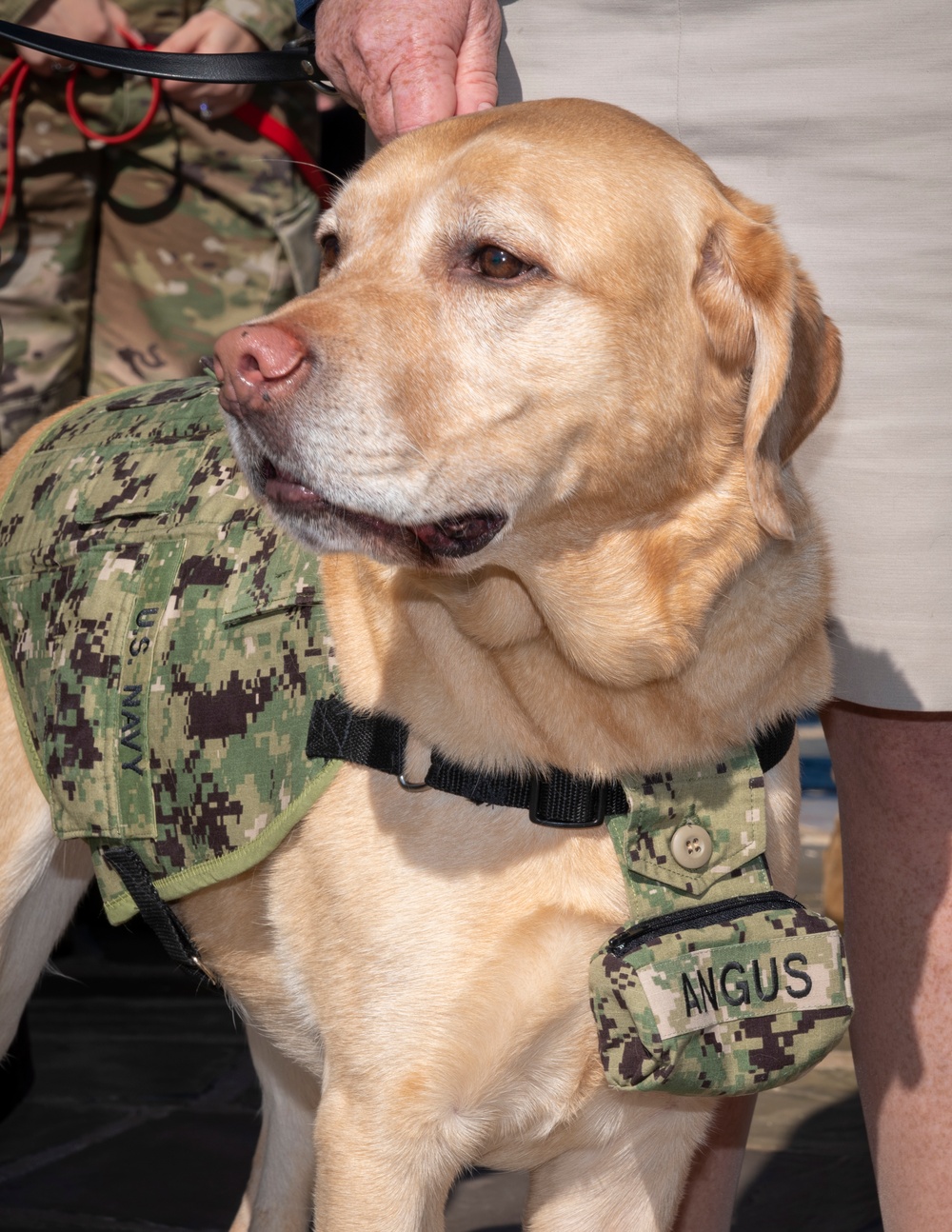 Facility Dogs Promotion and Commissioning Ceremony at WRNMMC, October 18, 2022