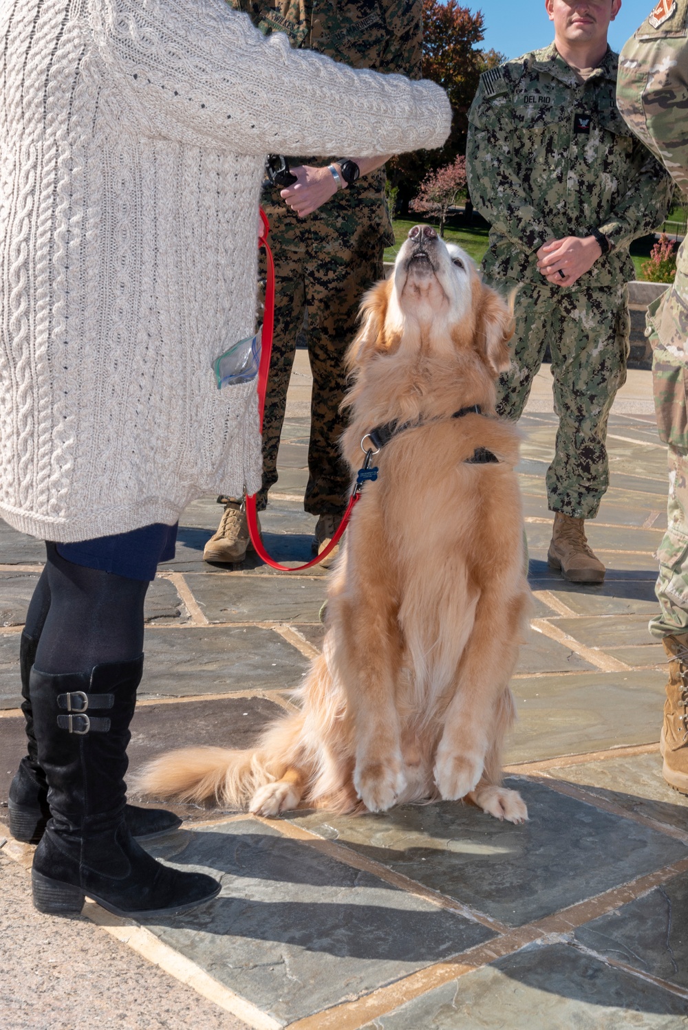 Facility Dogs Promotion and Commissioning Ceremony at WRNMMC, October 18, 2022