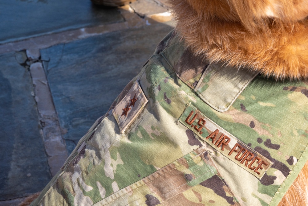 Facility Dogs Promotion and Commissioning Ceremony at WRNMMC, October 18, 2022