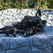 Corpsmen Memorial in Jacksonville, North Carolina