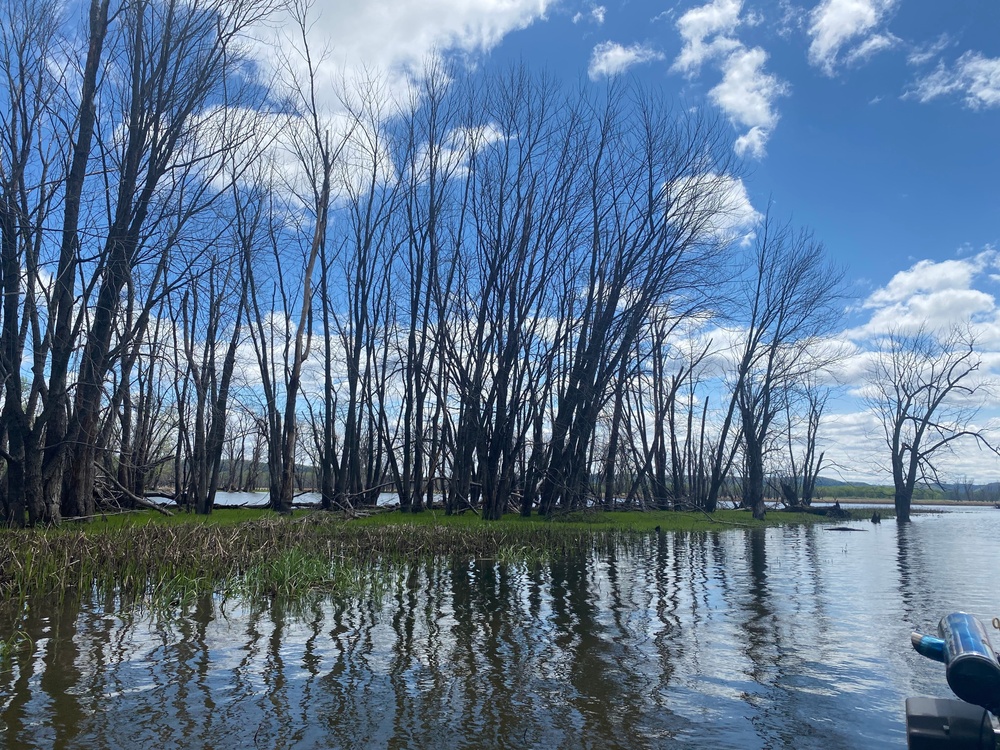 Corps seeks public comments on Pool 9 habitat restoration project