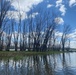 Corps seeks public comments on Pool 9 habitat restoration project