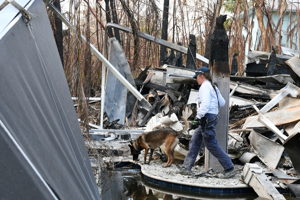 FEMA Urban Search and Rescue Teams Search Areas Impacted by Hurricane Ian
