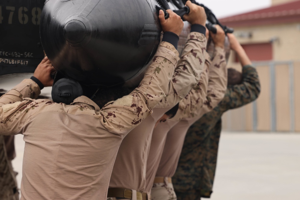 Marines, Emirati soldiers train together at Camp Pendleton