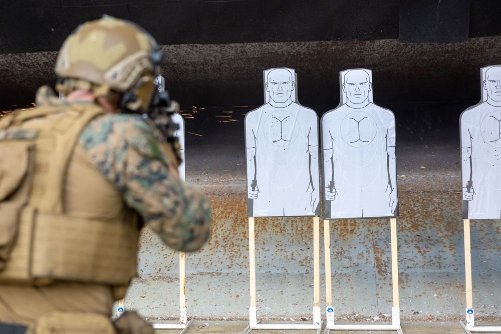 Security Element and Enablers Course