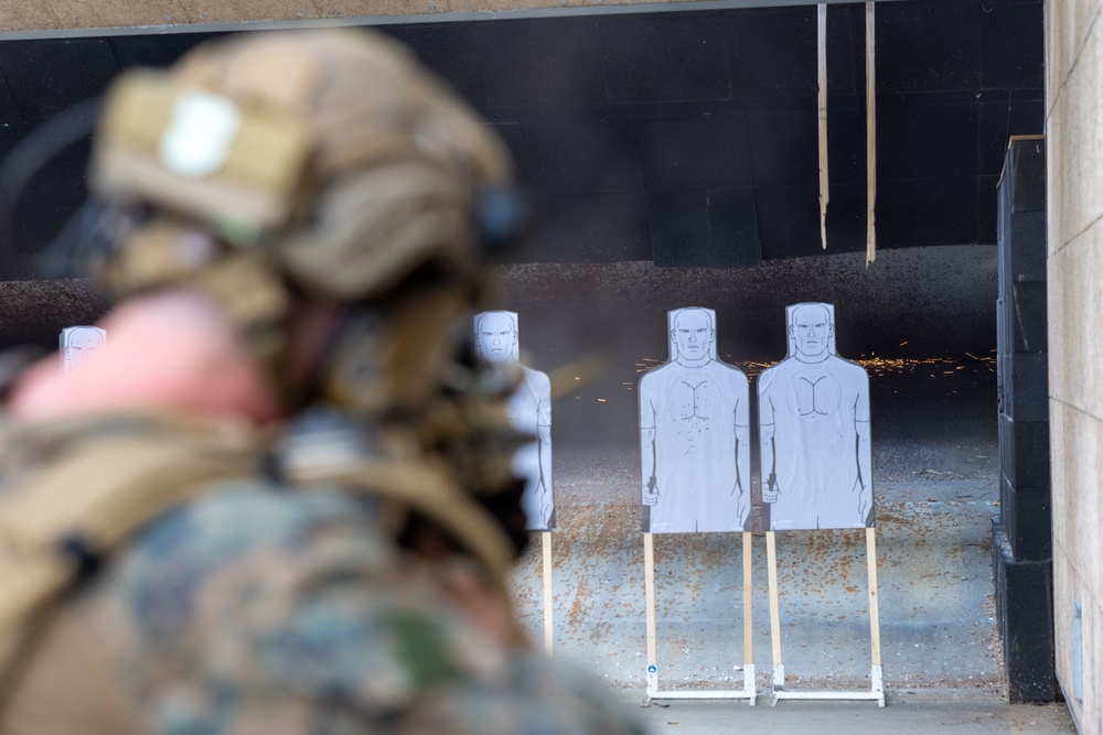 Security Element and Enabler's Course