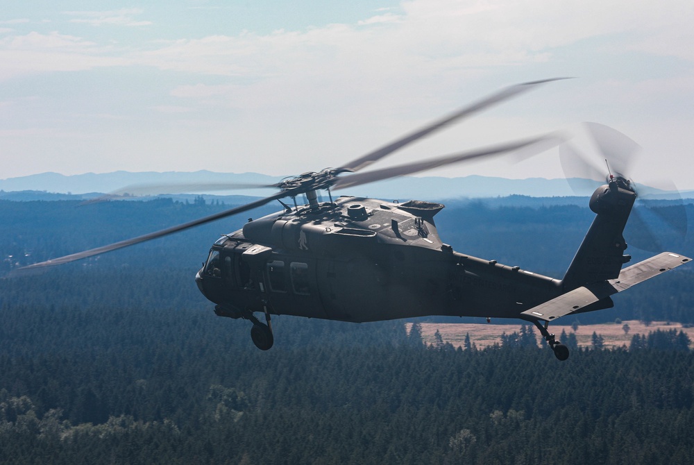 16th Combat Aviation Brigade Black Hawks near Mt. Rainier
