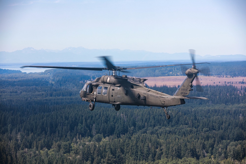 16th Combat Aviation Brigade Black Hawks near Mt. Rainier