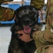 Military Working Dogs participate in UH-1N Huey training