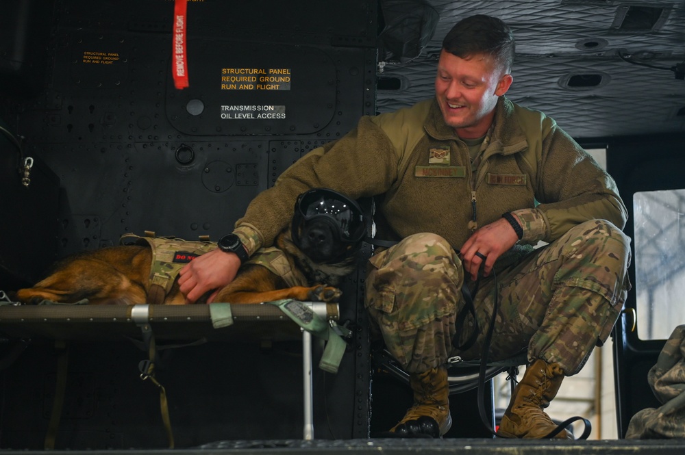 Military Working Dogs participate in UH-1N Huey training