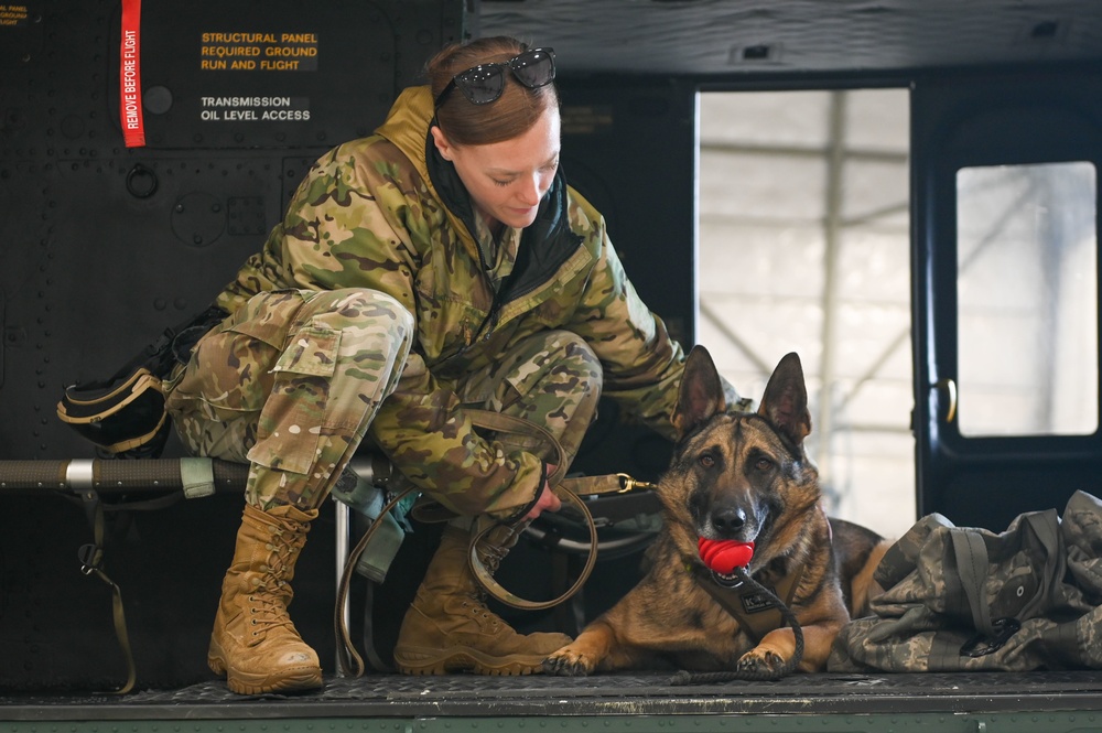 Military Working Dogs participate in UH-1N Huey training