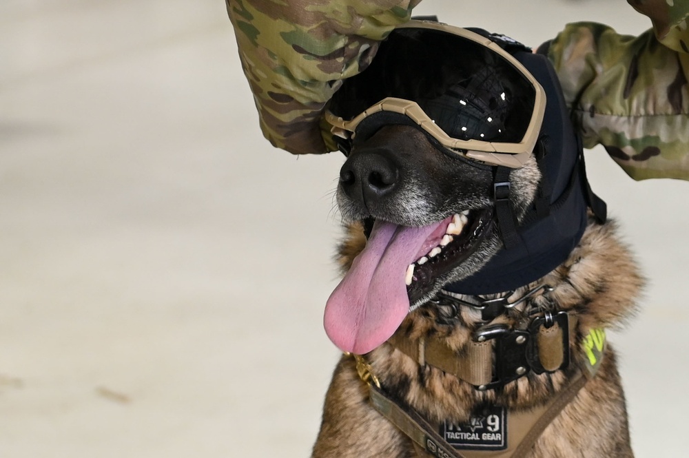 Military Working Dogs participate in UH-1N Huey training