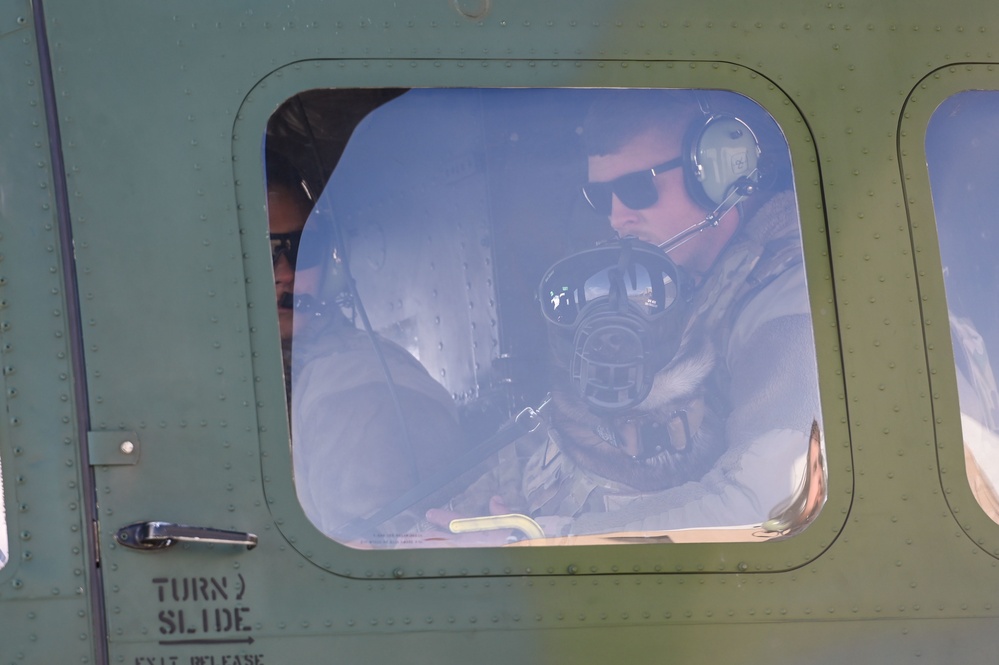 Military Working Dogs participate in UH-1N Huey training