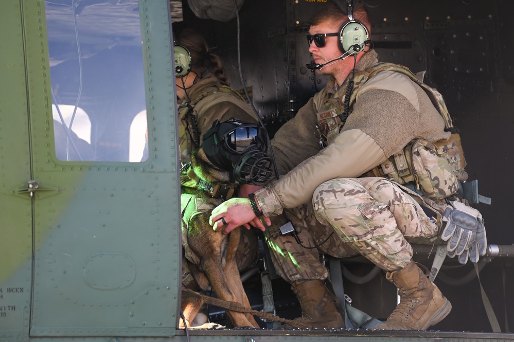 Military Working Dogs participate in UH-1N Huey training