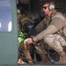 Military Working Dogs participate in UH-1N Huey training