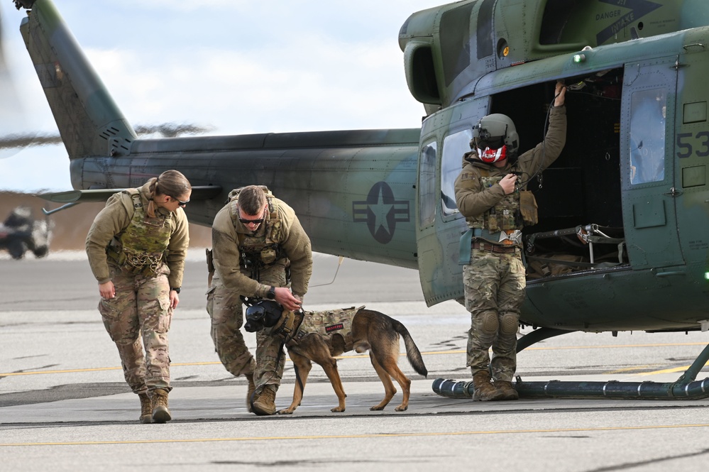 Military Working Dogs participate in UH-1N Huey training