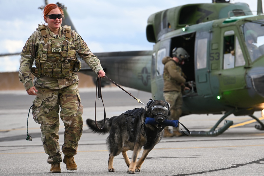 Military Working Dogs participate in UH-1N Huey training