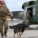 Military Working Dogs participate in UH-1N Huey training