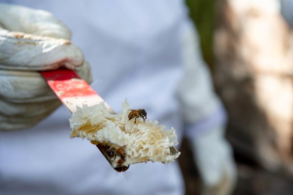 Volunteers tend to Pacific Missile Range Facility's (PMRF) Beehives