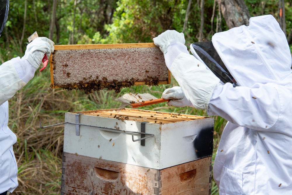 Volunteers tend to Pacific Missile Range Facility's (PMRF) Beehives