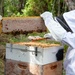 Volunteers tend to Pacific Missile Range Facility's (PMRF) Beehives