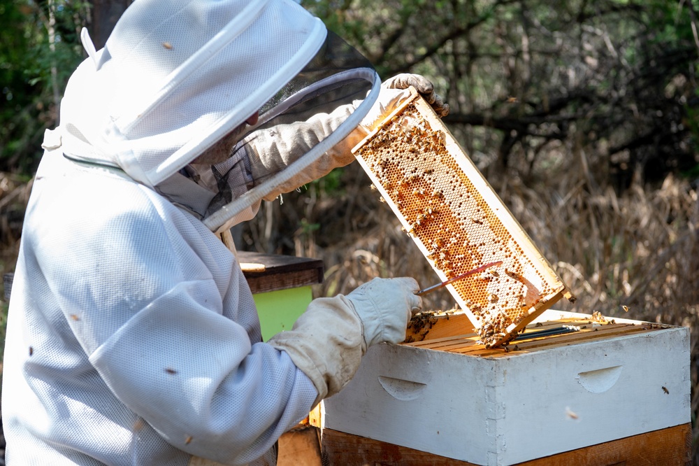 Volunteers tend to Pacific Missile Range Facility's (PMRF) Beehives