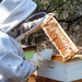 Volunteers tend to Pacific Missile Range Facility's (PMRF) Beehives