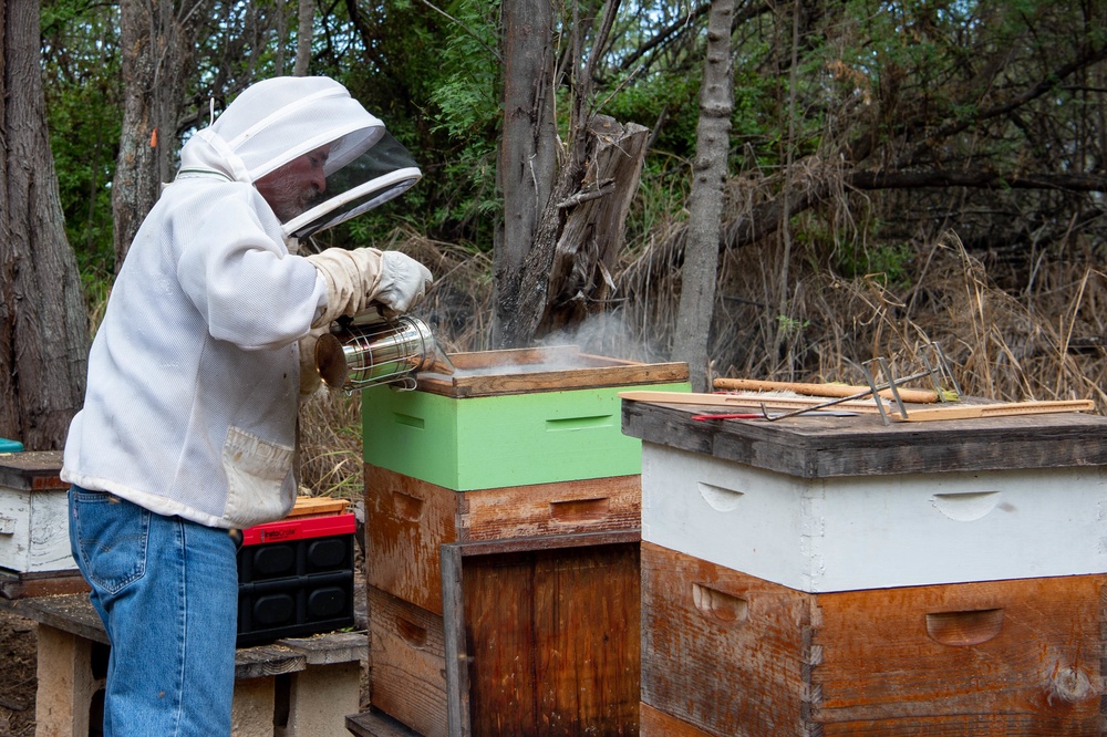 Volunteers tend to Pacific Missile Range Facility's (PMRF) Beehives