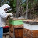 Volunteers tend to Pacific Missile Range Facility's (PMRF) Beehives