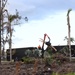 Crews Continue Work on Cleaning Up Pine Island