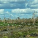 A Flock of Birds Fly Over Damaged Palm Trees From Hurricane Ian