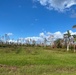 Tree Farms Are Damaged From Hurricane Ian