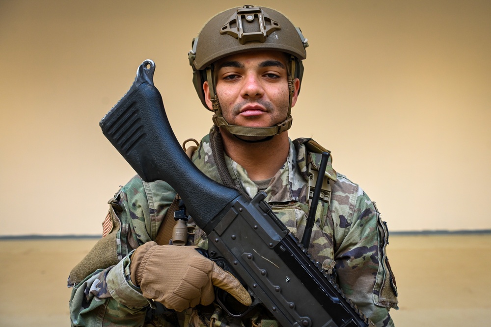 Faces of the Sheepdogs