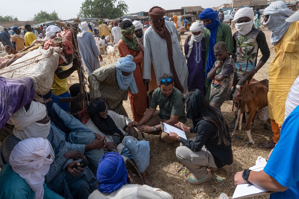 443rd Civil Affairs Battalion assess animal prices in Agadez, Niger