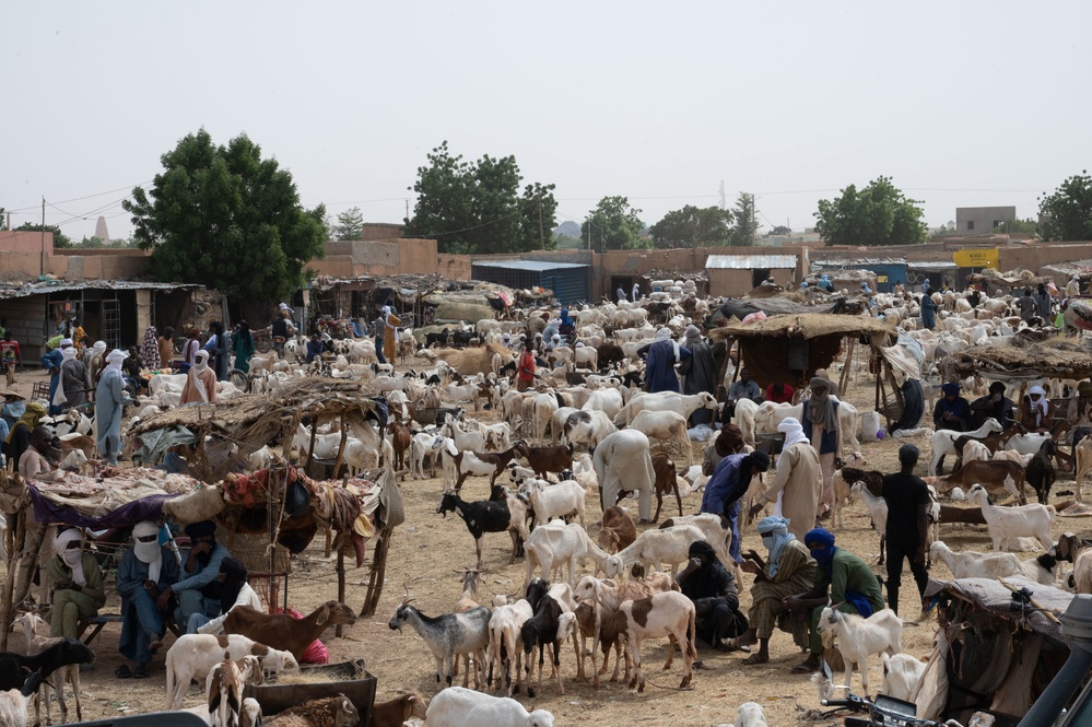 443rd Civil Affairs Battalion assess animal prices in Agadez, Niger