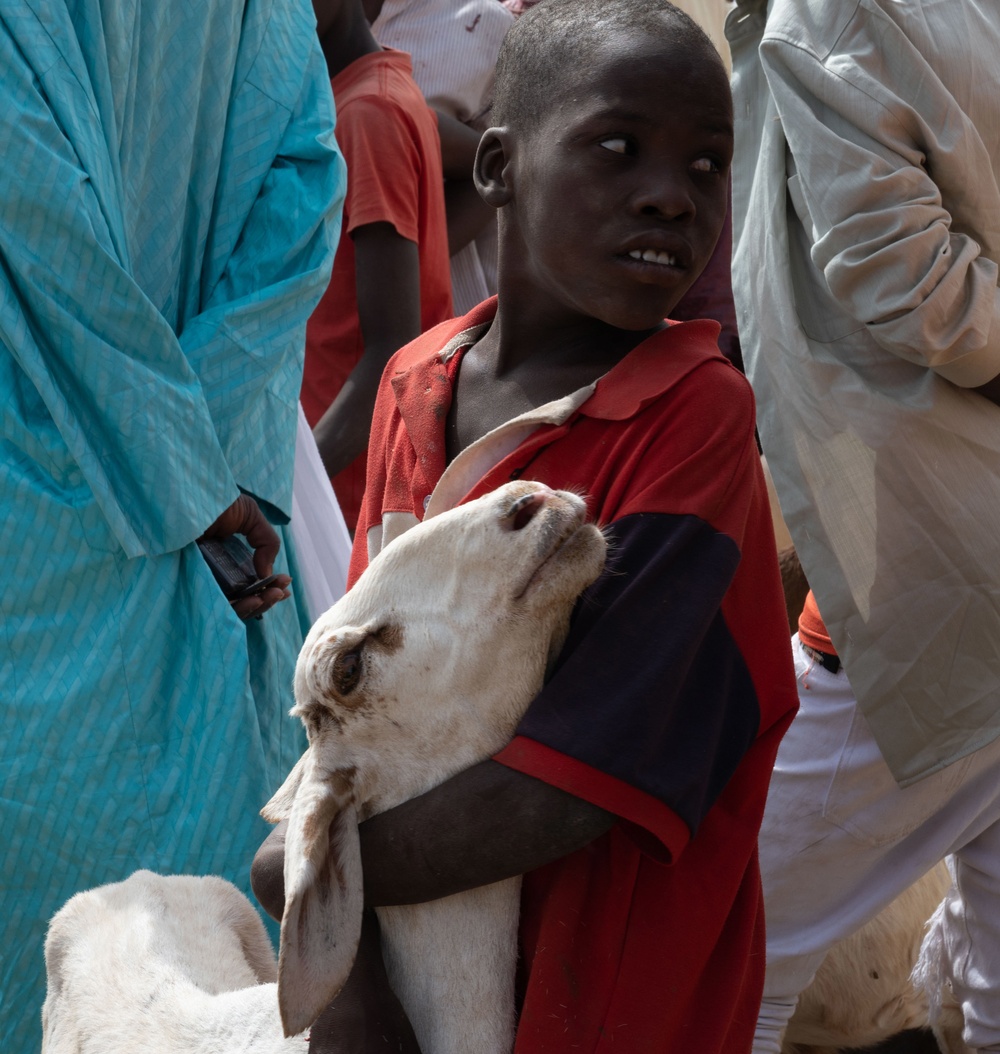 443rd Civil Affairs Battalion assess animal prices in Agadez, Niger