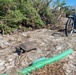 A Gopher Tortoise is Spotted on Sanibel Island