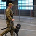 56th SFS partakes in Desert Dog Trials