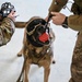 Military Working Dogs participate in UH-1N Huey training