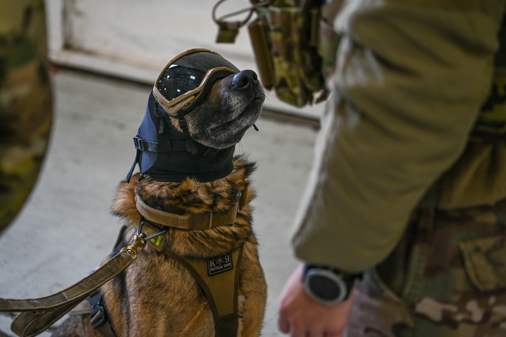 Military Working Dogs participate in UH-1N Huey training