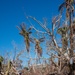 USCG Assesses Potential Pollution Threats After Hurricane Ian