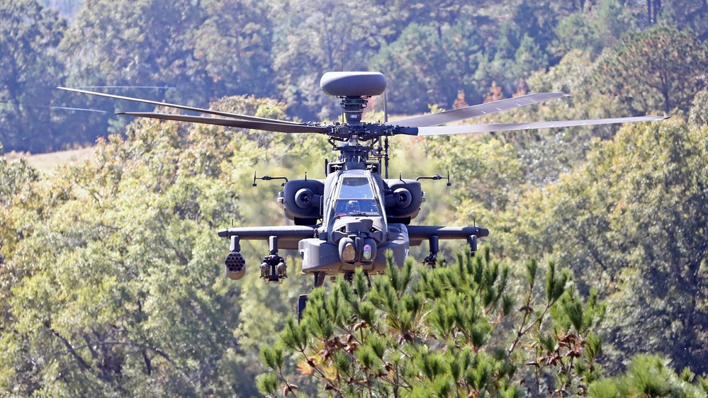 Apache Guardian