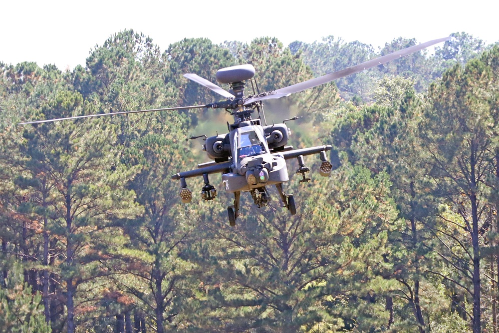 Apache Guardian